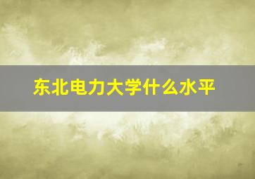 东北电力大学什么水平