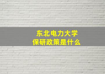 东北电力大学保研政策是什么