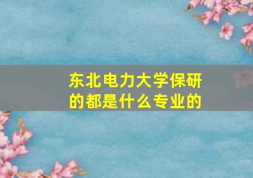 东北电力大学保研的都是什么专业的