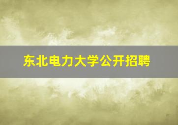 东北电力大学公开招聘