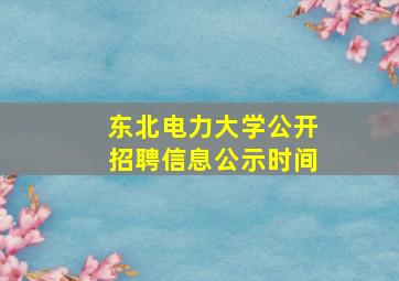 东北电力大学公开招聘信息公示时间