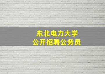 东北电力大学公开招聘公务员