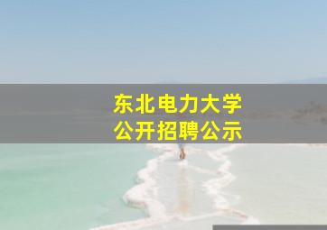 东北电力大学公开招聘公示