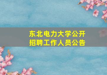 东北电力大学公开招聘工作人员公告