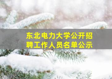 东北电力大学公开招聘工作人员名单公示