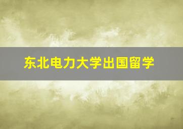 东北电力大学出国留学