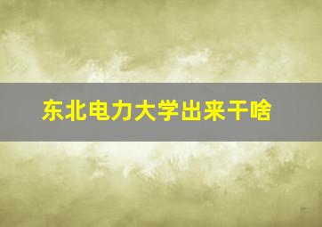 东北电力大学出来干啥