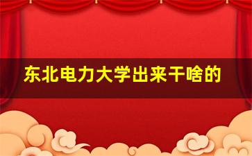 东北电力大学出来干啥的