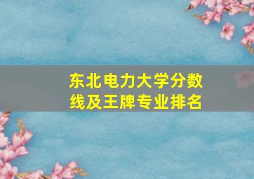 东北电力大学分数线及王牌专业排名