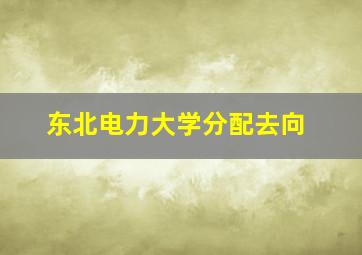 东北电力大学分配去向