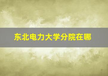 东北电力大学分院在哪