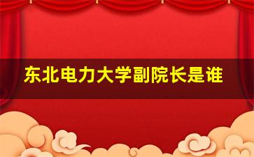 东北电力大学副院长是谁