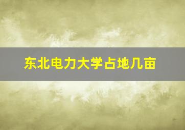 东北电力大学占地几亩