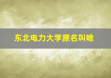 东北电力大学原名叫啥