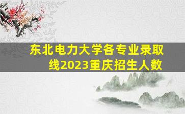 东北电力大学各专业录取线2023重庆招生人数