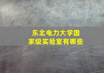 东北电力大学国家级实验室有哪些