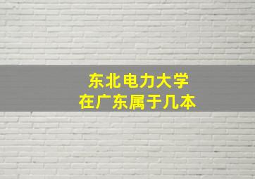 东北电力大学在广东属于几本