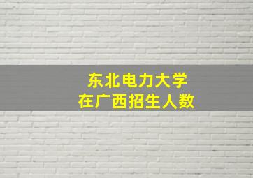 东北电力大学在广西招生人数