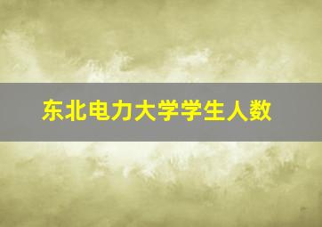 东北电力大学学生人数