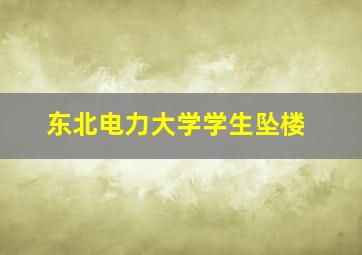 东北电力大学学生坠楼