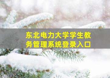 东北电力大学学生教务管理系统登录入口