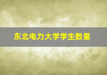 东北电力大学学生数量