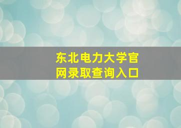 东北电力大学官网录取查询入口