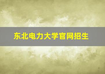 东北电力大学官网招生