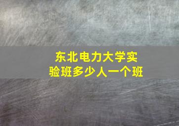 东北电力大学实验班多少人一个班