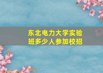 东北电力大学实验班多少人参加校招