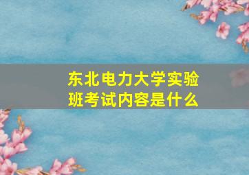 东北电力大学实验班考试内容是什么