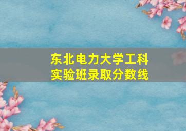 东北电力大学工科实验班录取分数线