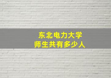 东北电力大学师生共有多少人