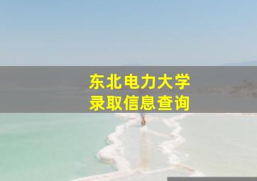 东北电力大学录取信息查询