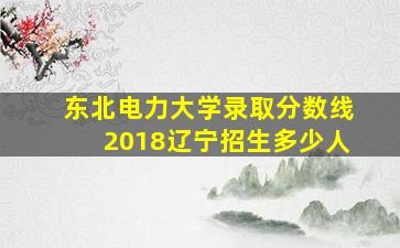 东北电力大学录取分数线2018辽宁招生多少人