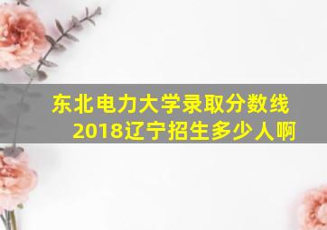 东北电力大学录取分数线2018辽宁招生多少人啊