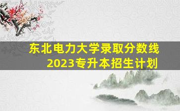 东北电力大学录取分数线2023专升本招生计划