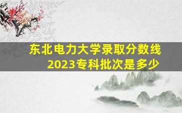 东北电力大学录取分数线2023专科批次是多少