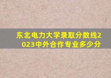 东北电力大学录取分数线2023中外合作专业多少分