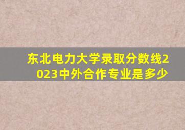 东北电力大学录取分数线2023中外合作专业是多少