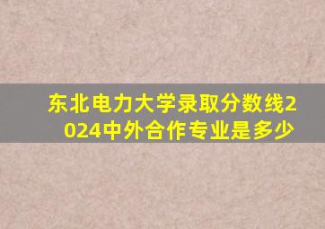 东北电力大学录取分数线2024中外合作专业是多少