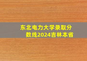 东北电力大学录取分数线2024吉林本省