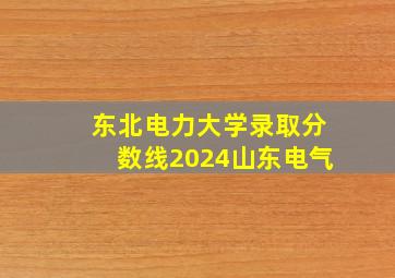 东北电力大学录取分数线2024山东电气