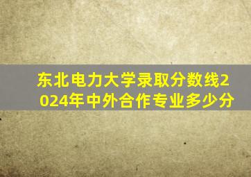 东北电力大学录取分数线2024年中外合作专业多少分