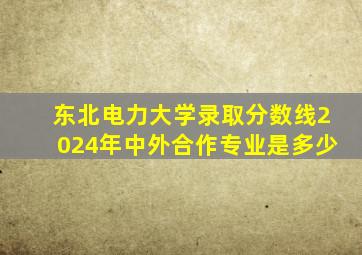 东北电力大学录取分数线2024年中外合作专业是多少