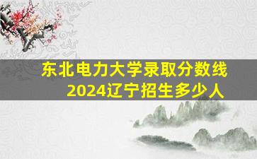 东北电力大学录取分数线2024辽宁招生多少人