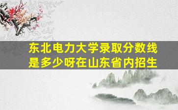 东北电力大学录取分数线是多少呀在山东省内招生