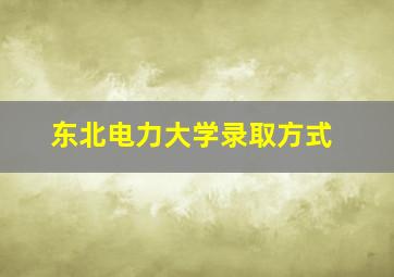 东北电力大学录取方式