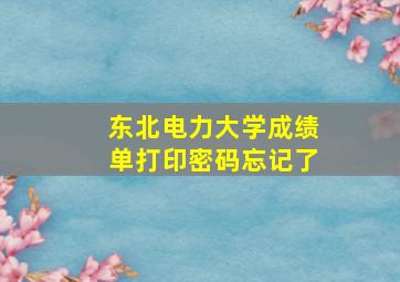 东北电力大学成绩单打印密码忘记了