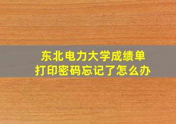 东北电力大学成绩单打印密码忘记了怎么办